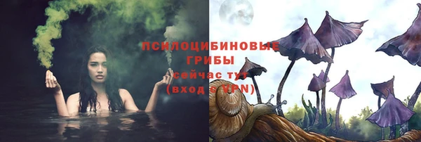 тгк Армянск
