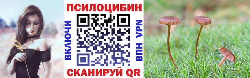 Псилоцибиновые грибы Magic Shrooms  Соль-Илецк 